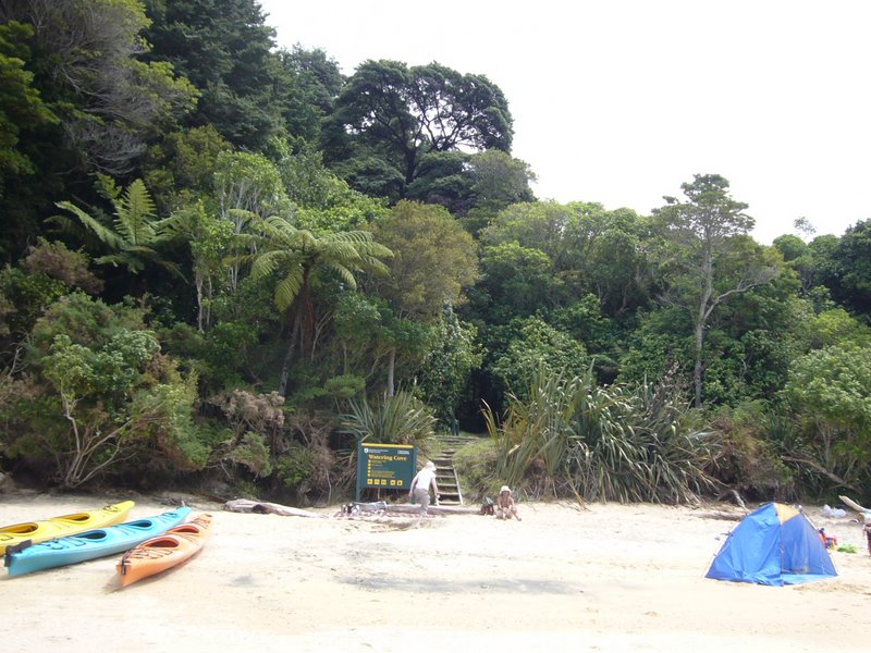 Travel - New Zealand - Abel Tasman National Park